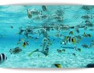 Unbelievable snorkeling