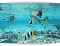 Snorkeling in the lagoon